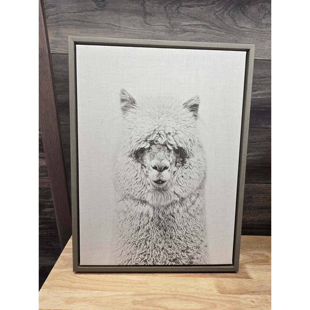 Simon Te Tai Prints Alpaca Canvas Art Gray Floating Frame 18x24 Uniek USA Made